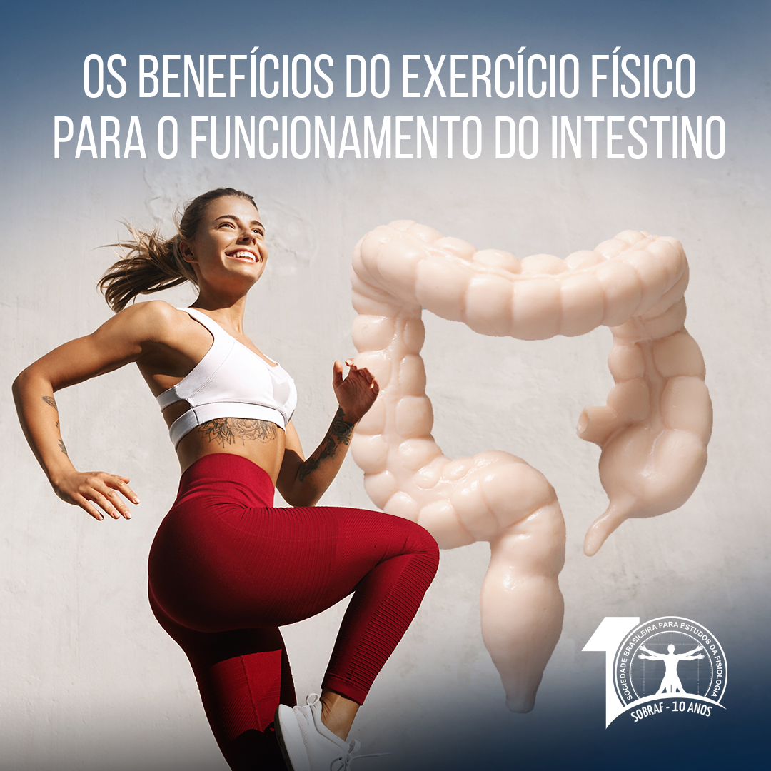 Os benefícios do exercício físico para o funcionamento do intestino